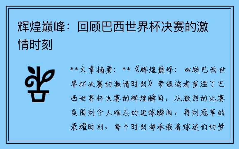 辉煌巅峰：回顾巴西世界杯决赛的激情时刻